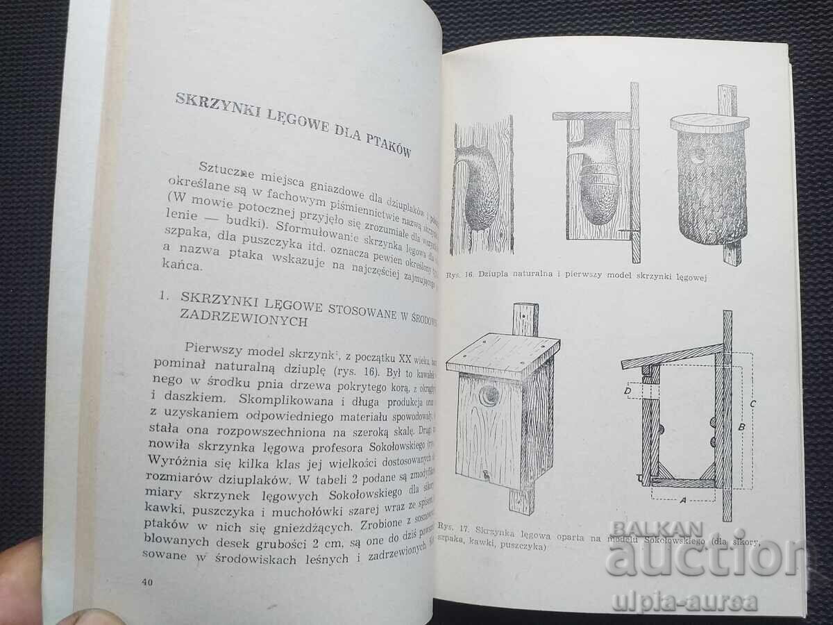 Auction Birds Auction Birds