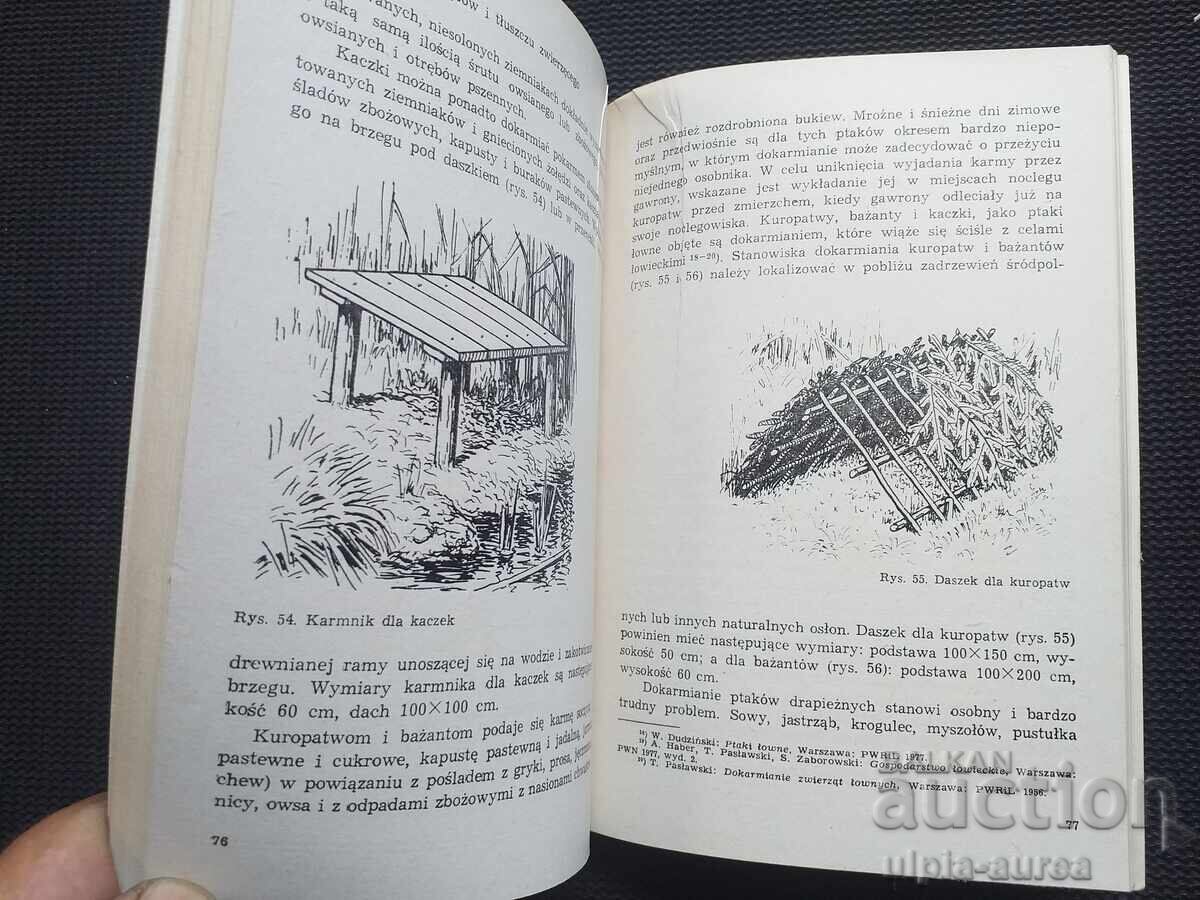 Delivery of Birds Delivery of Birds