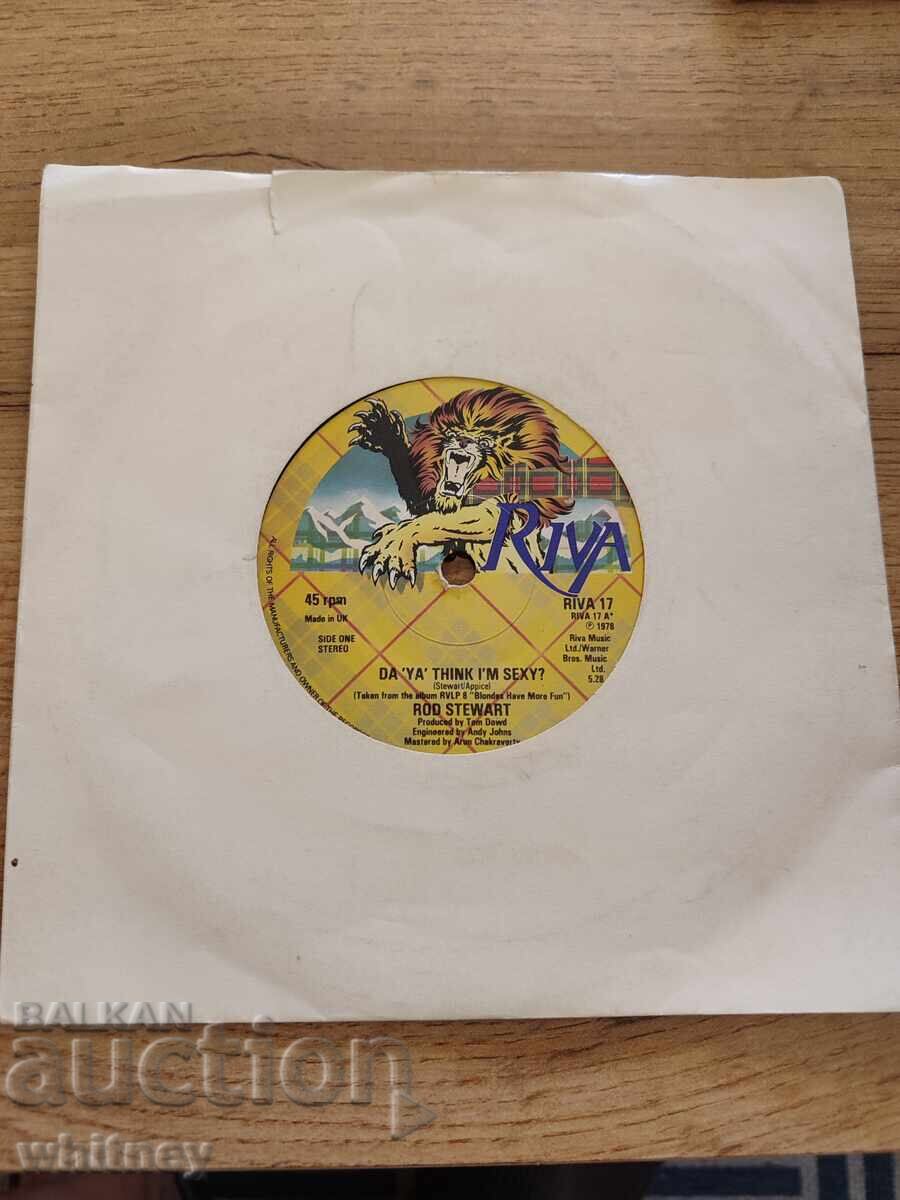 Riva Vinyl Record Riva Vinyl Record