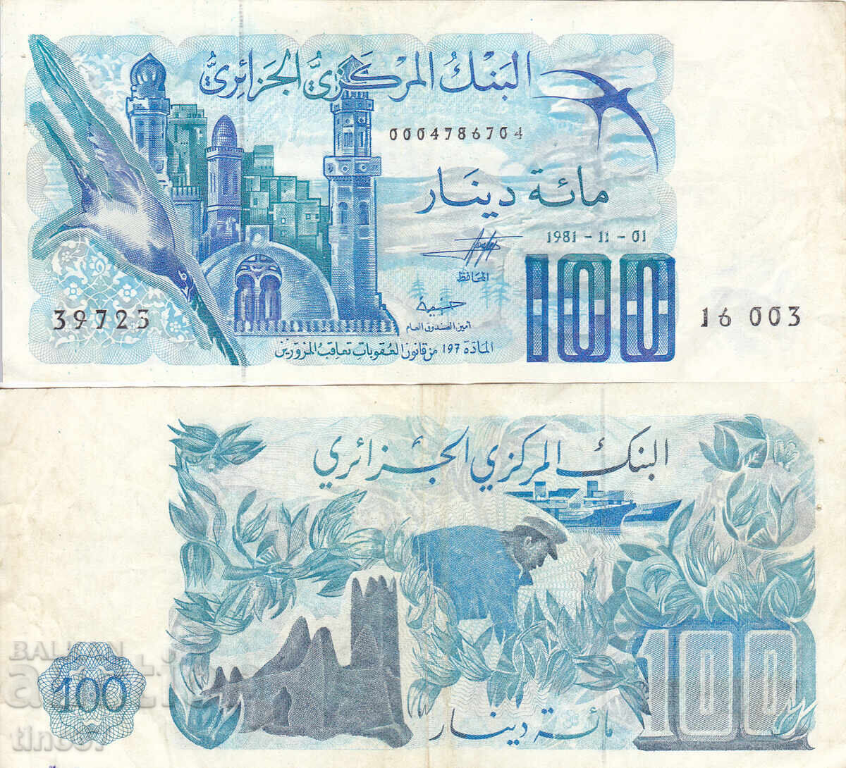 tino37- ALGERIA - 100 DINARS - 1981 - VF