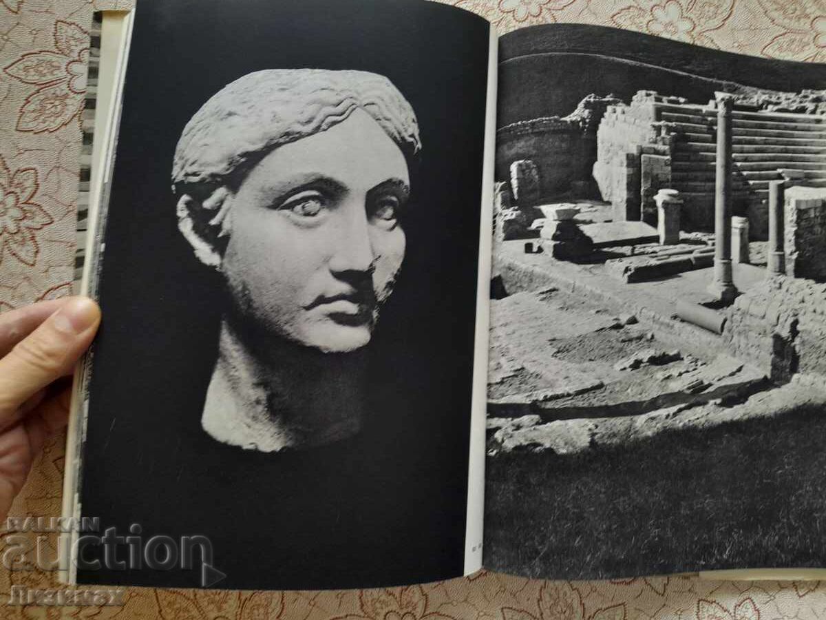 Доставка на Александрия - Казимеж Михаловски