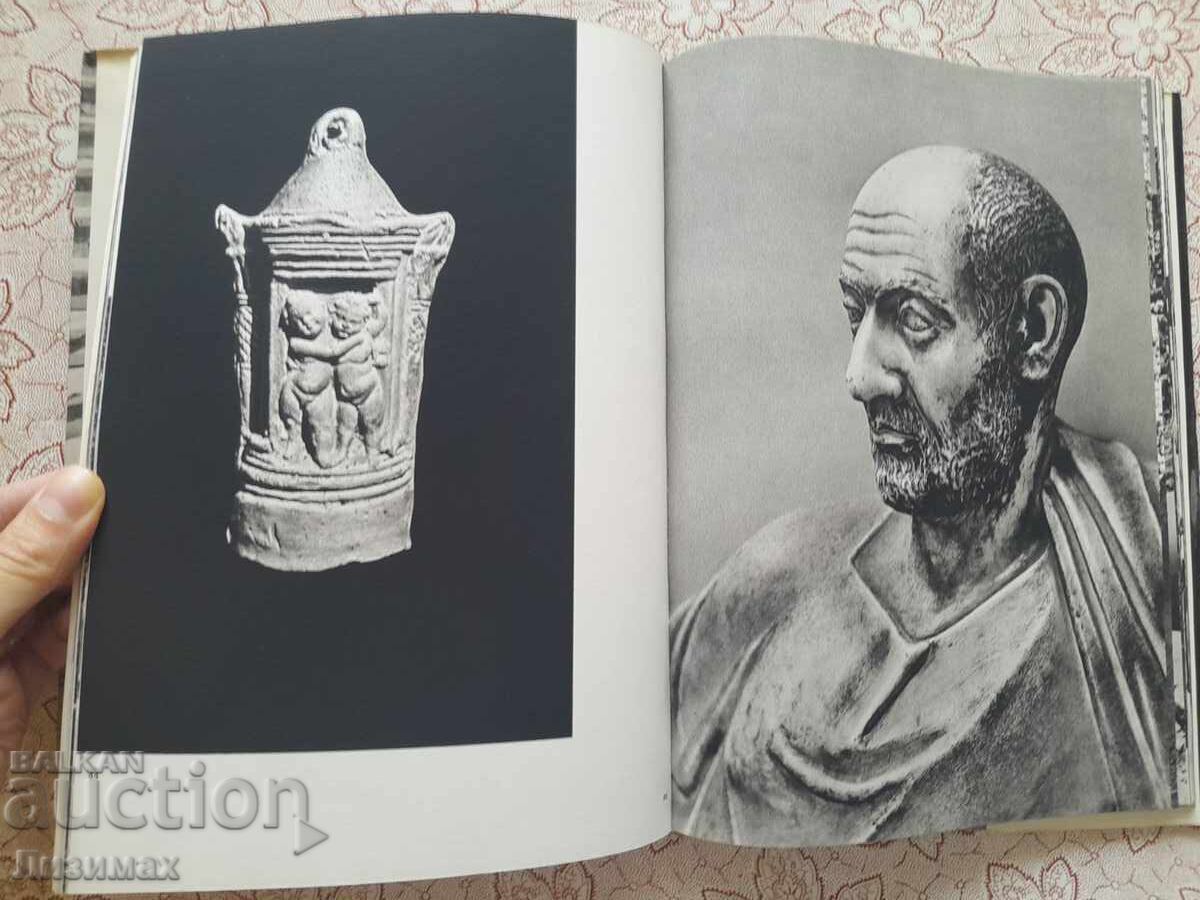 Александрия - Казимеж Михаловски - 5