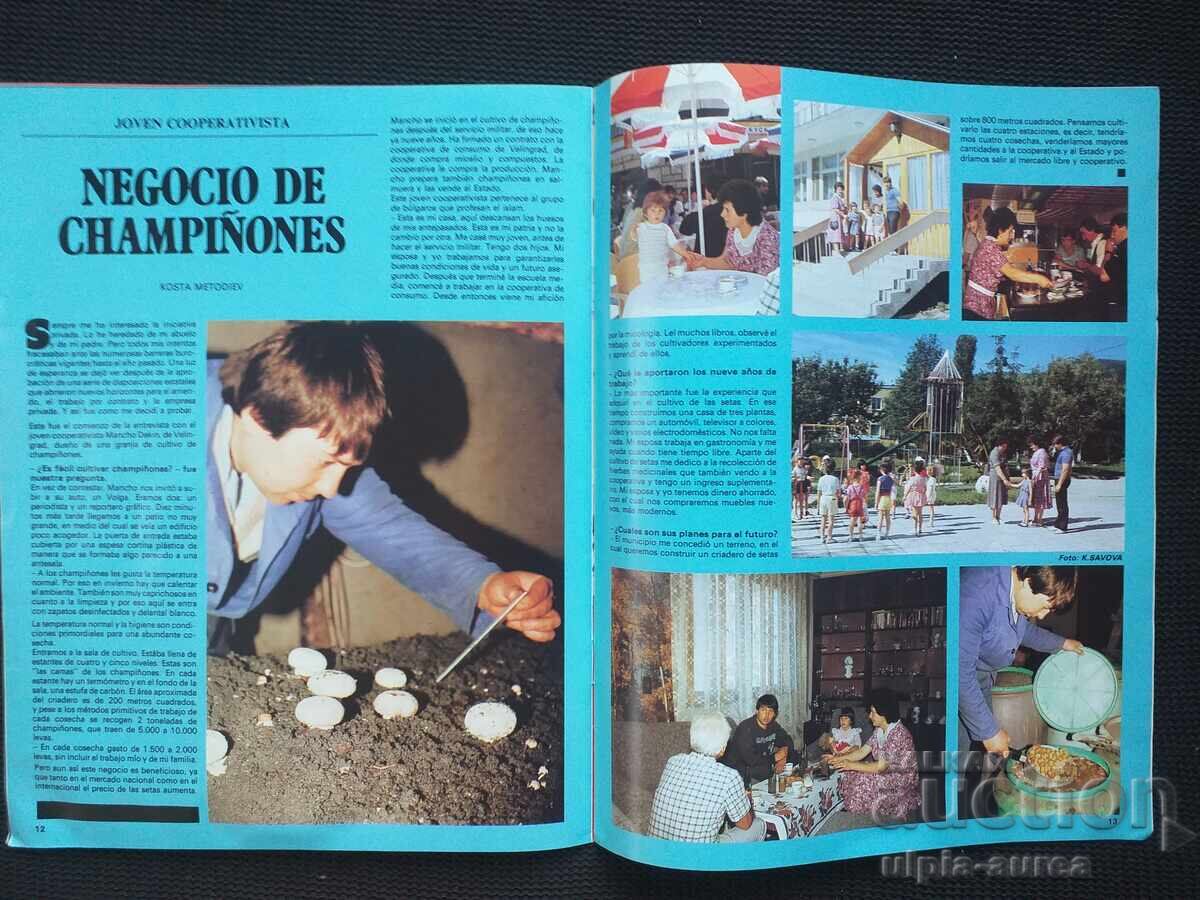 Delivery of Advertisement 1990, No. 5