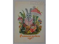 IEPURAȘ - UCENIC P.K. 1984