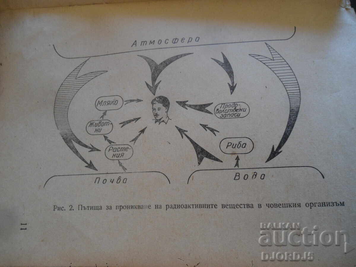Măsuri de protecție în zonele de contaminare radioactivă - 6