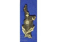 Παλιά μπρούτζινη πλάκα τυπογραφείου, βιβλιοδεσία Βασίλειο Βουλγαρίας