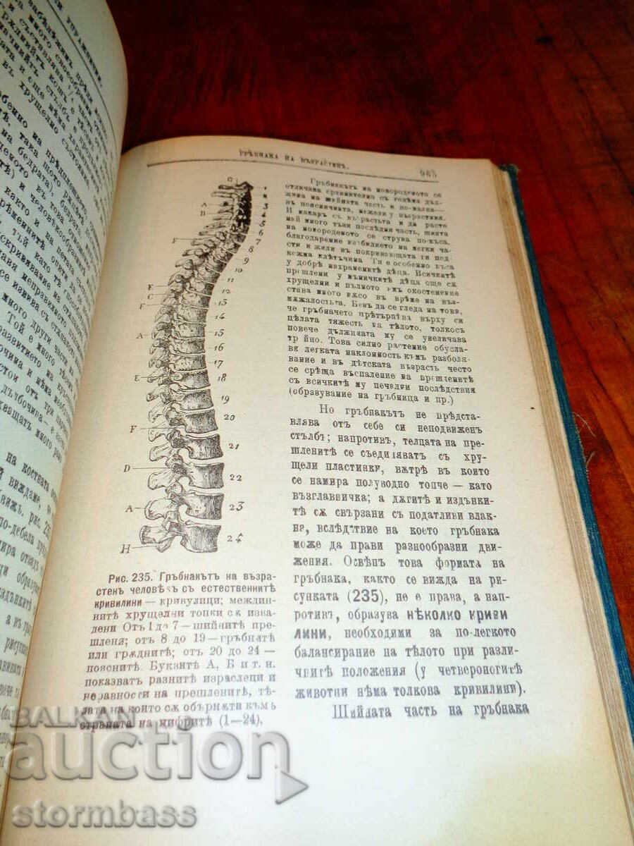 Mamă și copil antic V. N. Zhuk 1899 - 5 Mamă și copil antic V. N. Zhuk 1899 - 5