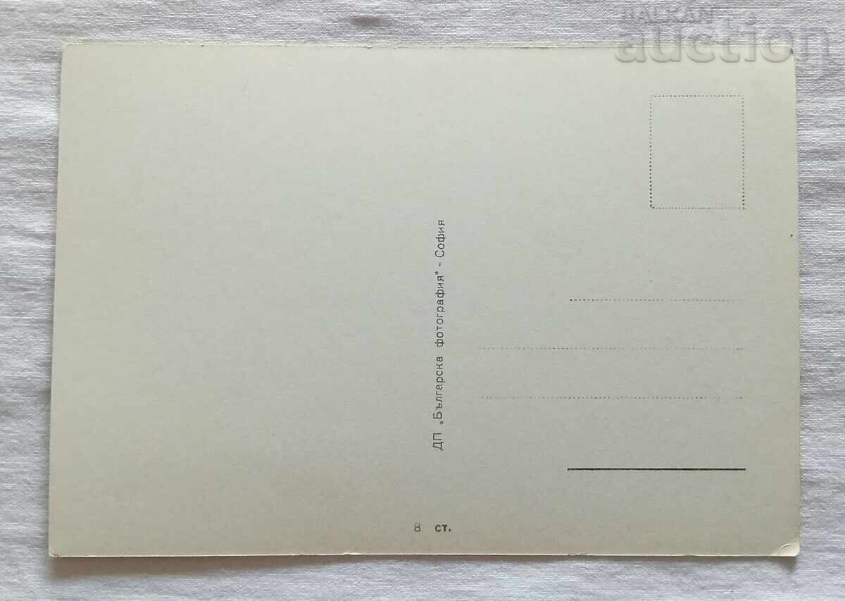 РУЖА ДЕЛЧЕВА АКТРИСА П.К. с цена 7.00 лв. | € 3.58 РУЖА ДЕЛЧЕВА АКТРИСА П.К. с цена 7.00 лв. | € 3.58