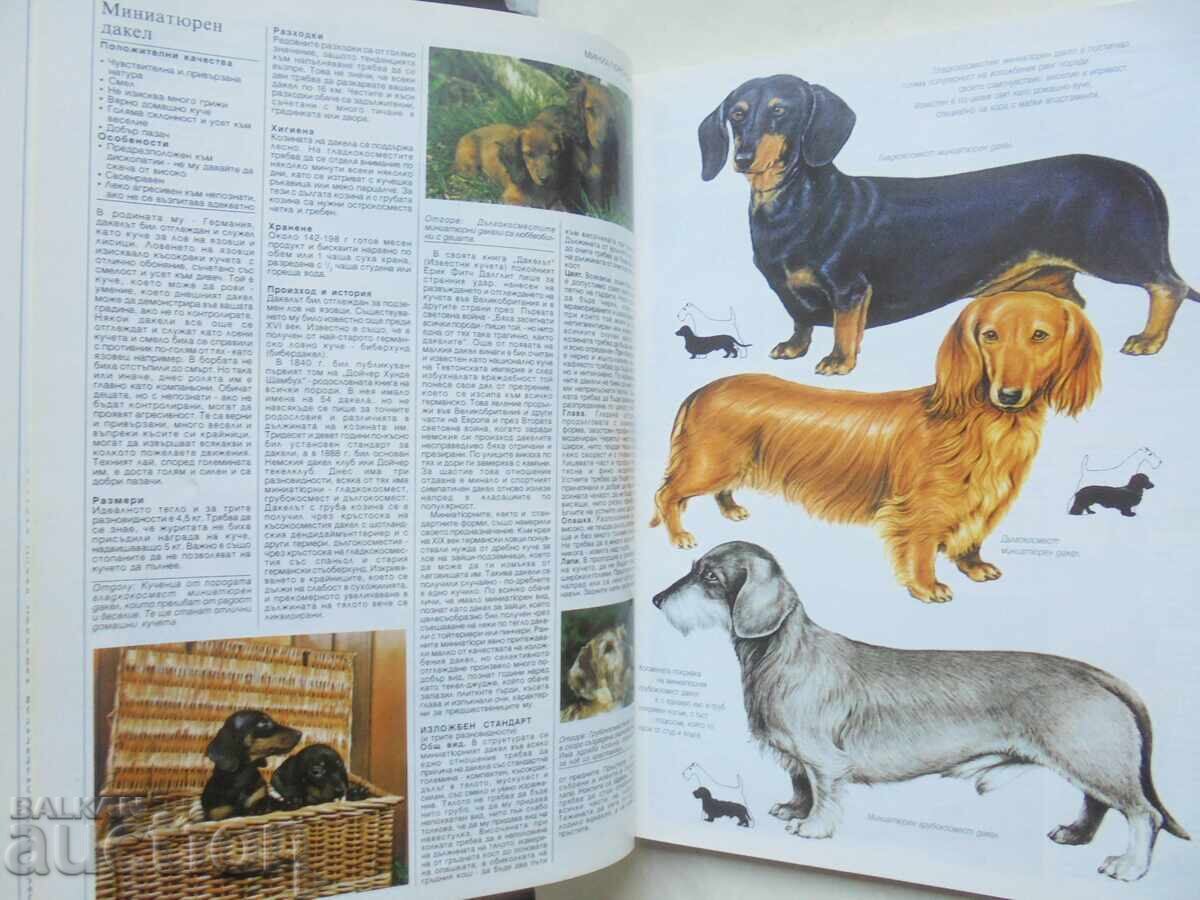 Аукцион Моето куче - Джоан Палмър, Фил Маджити, Ричард Гебхар 1996 г