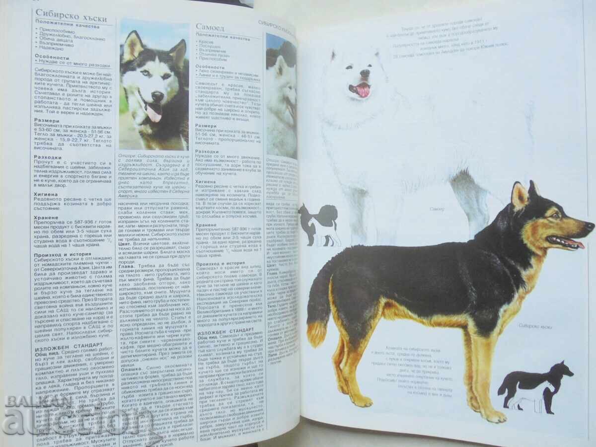 Доставка на Моето куче - Джоан Палмър, Фил Маджити, Ричард Гебхар 1996 г