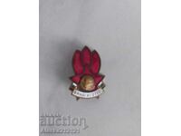 Σήμα - Πιονιέρος - Πάντα έτοιμος - σμάλτο