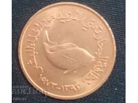 5 dirkhama OAΕ 1973