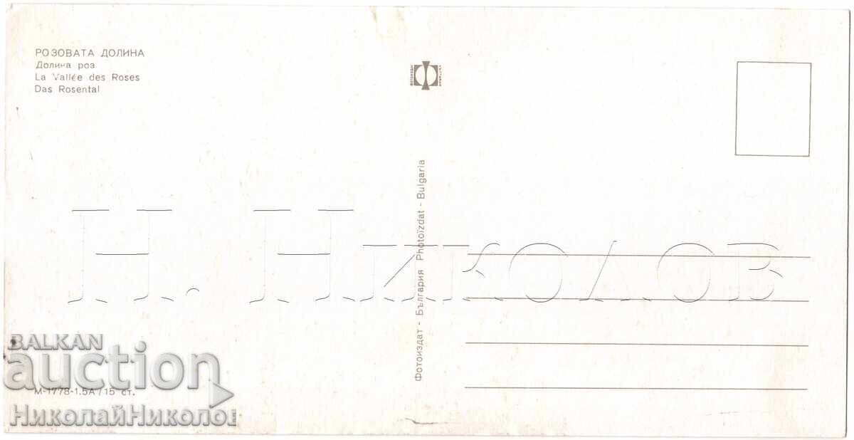 ΠΑΛΙΑ ΠΑΝΟΡΑΜΙΚΗ ΚΑΡΤ ΠΟΣΤΑΛ ΡΟΖ ΚΟΙΛΑΔΑ ΘΕΑ ΑΠΟ ΠΟΛΗ E254 με τιμή 4.00 BGN | € 2.05