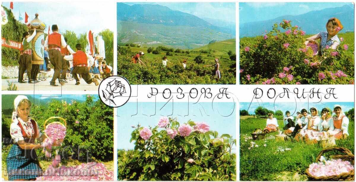 ΠΑΛΙΑ ΠΑΝΟΡΑΜΙΚΗ ΚΑΡΤ ΠΟΣΤΑΛ ΡΟΖ ΚΟΙΛΑΔΑ ΘΕΑ ΑΠΟ ΠΟΛΗ E254