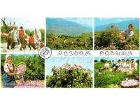 ΠΑΛΙΑ ΠΑΝΟΡΑΜΙΚΗ ΚΑΡΤ ΠΟΣΤΑΛ ΡΟΖ ΚΟΙΛΑΔΑ ΘΕΑ ΑΠΟ ΠΟΛΗ E254