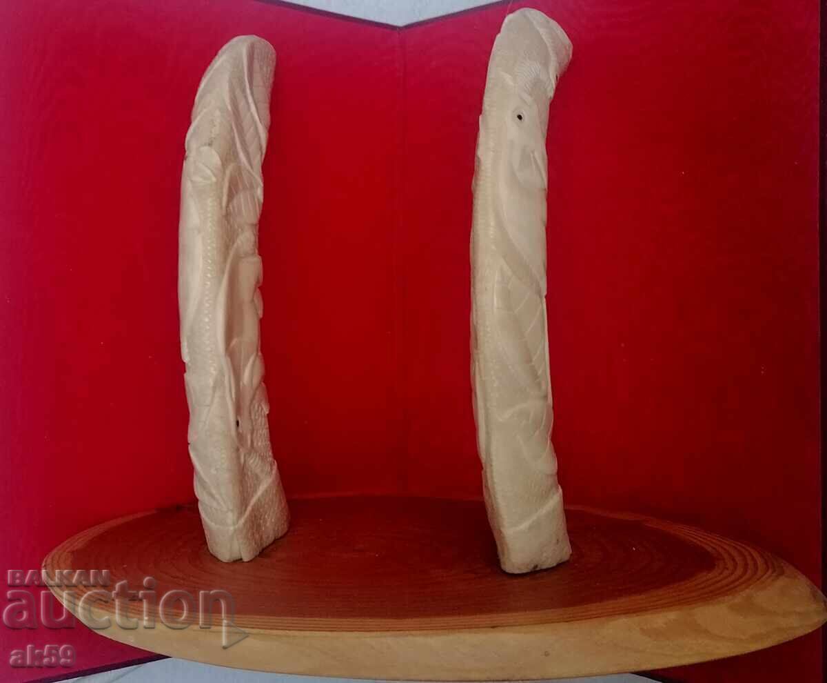 Wall hanger - hippopotamus tusks with price 850.00 BGN | € 434.60 Wall hanger - hippopotamus tusks with price 850.00 BGN | € 434.60