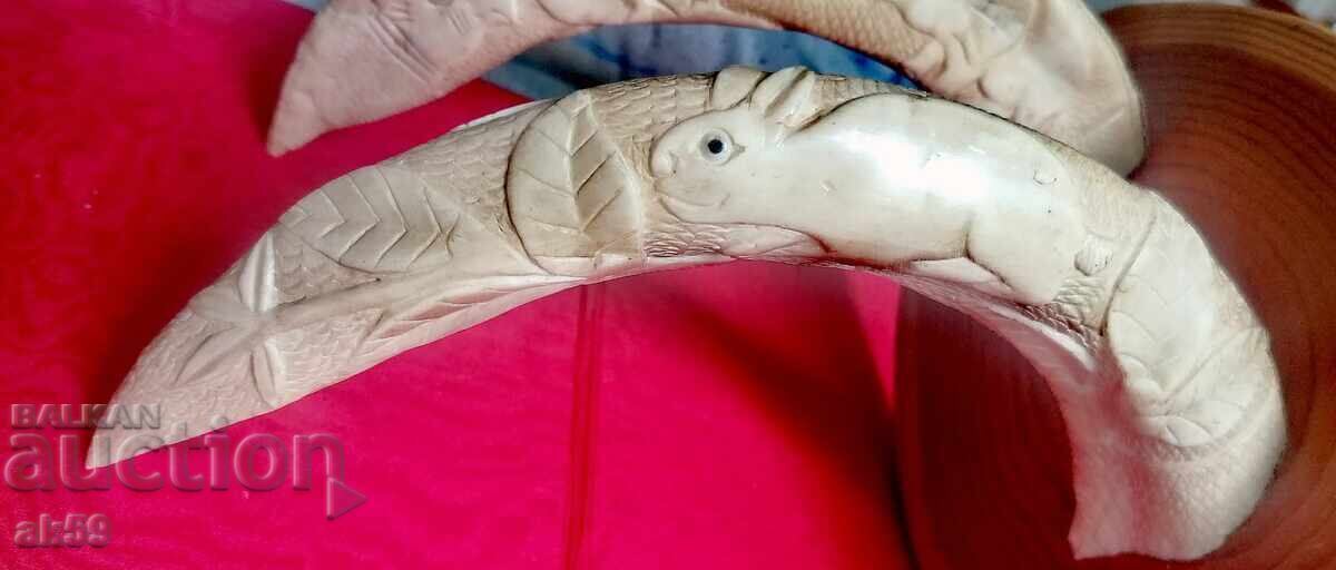 Wall hanger - hippopotamus tusks - 6 Wall hanger - hippopotamus tusks - 6