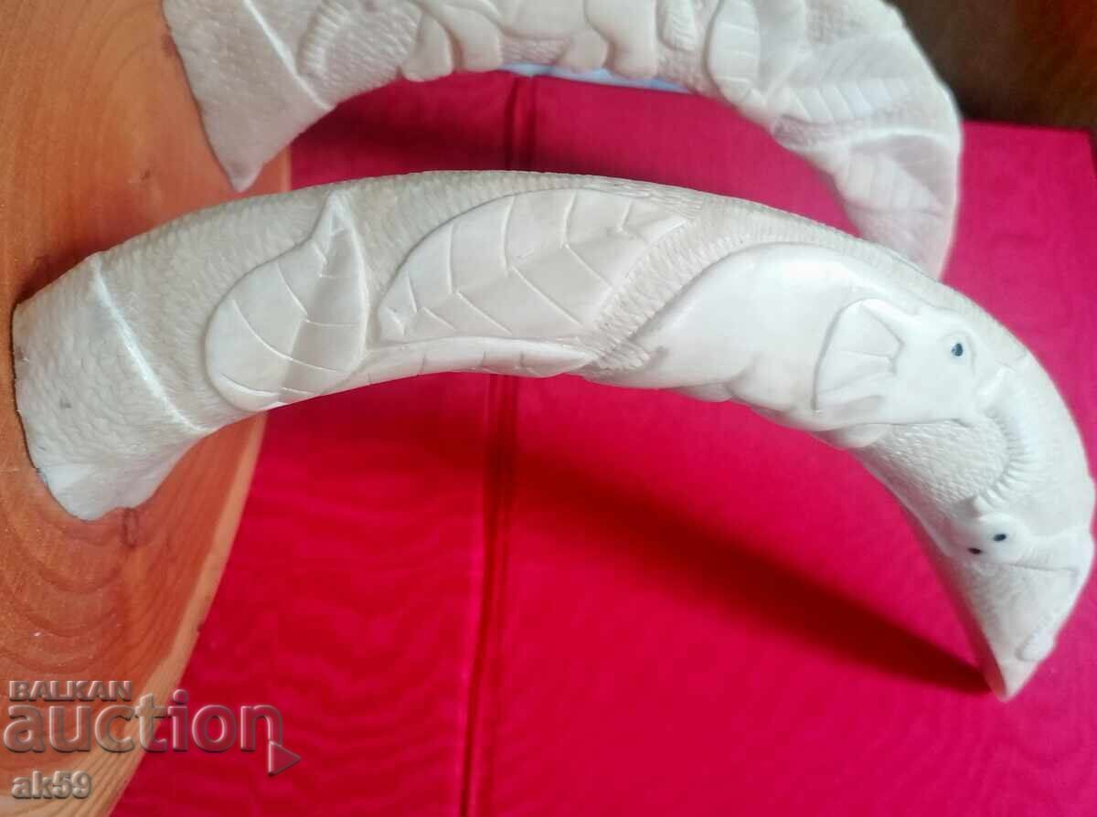 Wall hanger - hippopotamus tusks - 7 Wall hanger - hippopotamus tusks - 7