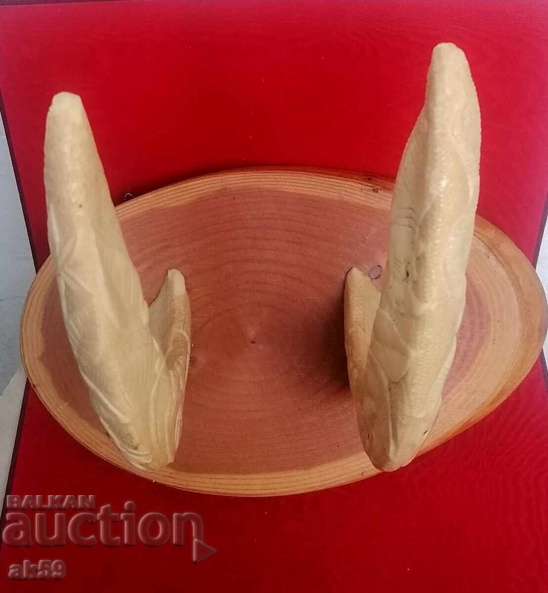 Wall hanger - hippopotamus tusks Wall hanger - hippopotamus tusks