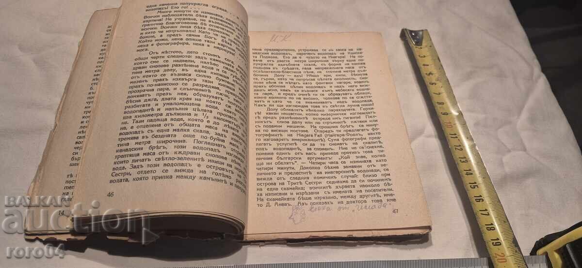 Livrarea CĂTRE CHICAGO ȘI ÎNAPOI - ALECO CONSTANTINOV Livrarea CĂTRE CHICAGO ȘI ÎNAPOI - ALECO CONSTANTINOV