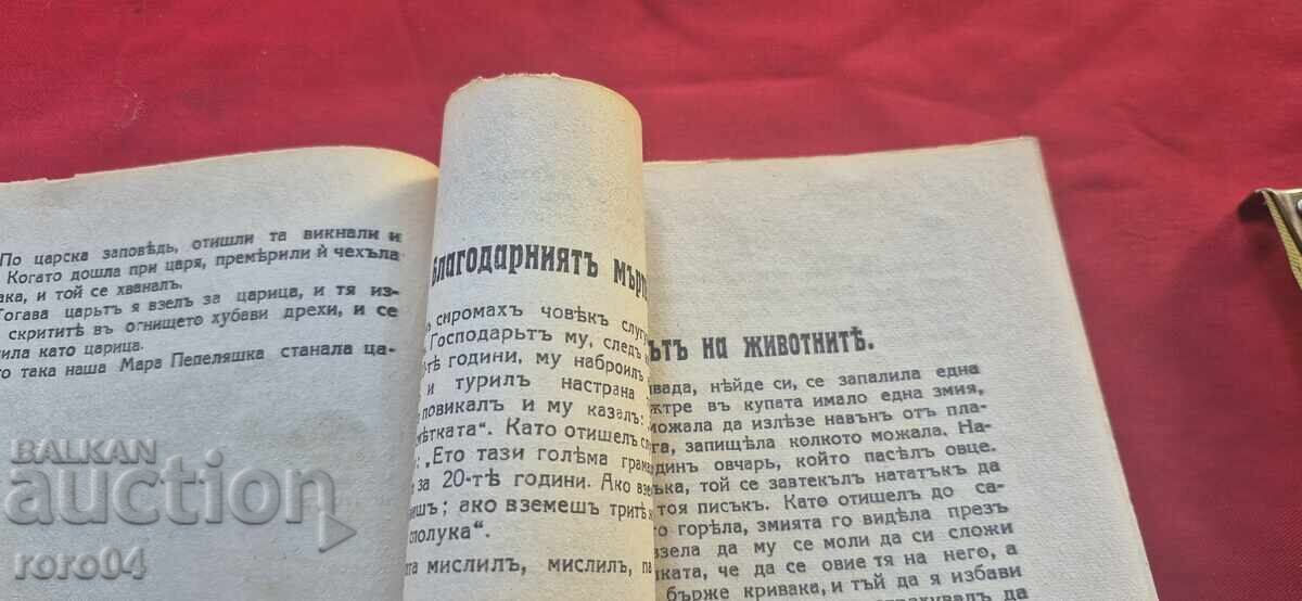 The Three Brothers and the Golden Apple - 6