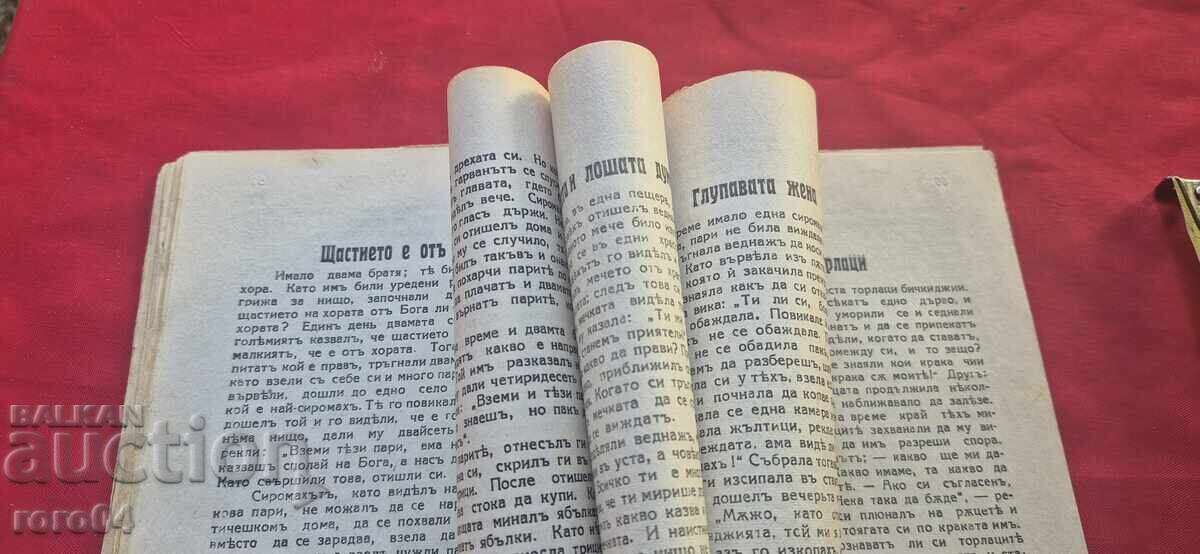 The Three Brothers and the Golden Apple - 7