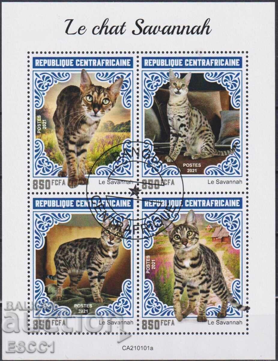 Kleymovan blok  Kotki 2021 ot Tsentralnoafrikanska republika