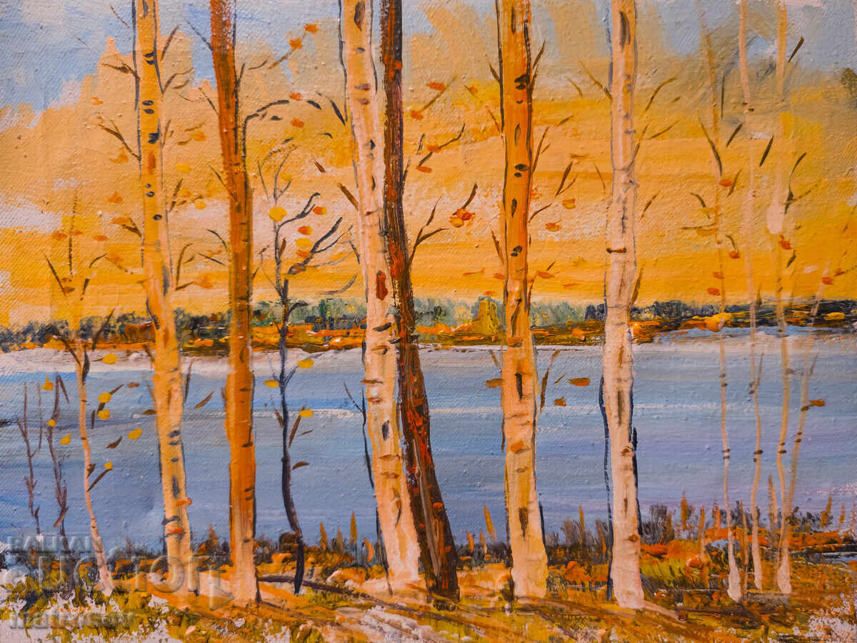 Μπόρις Τσάνοφ, ελαιογραφία, τοπίο με τιμή 200.00 BGN | € 102.26