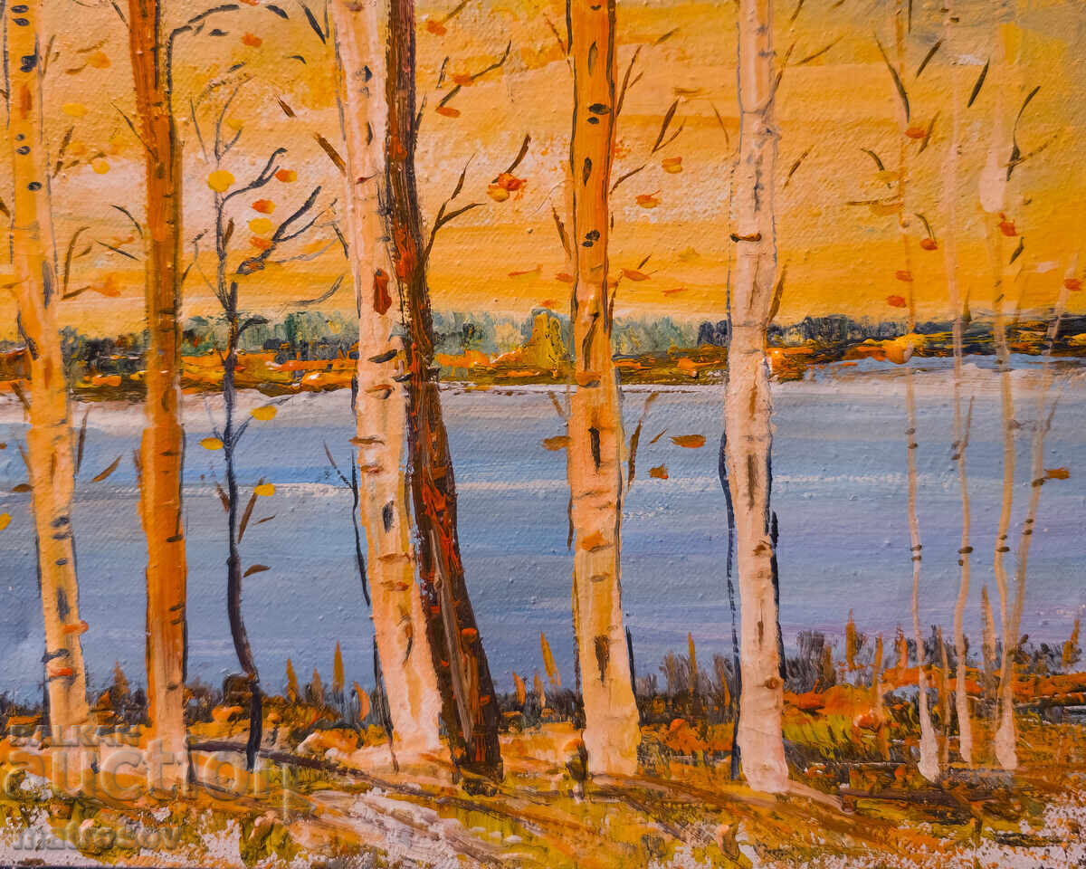 Μπόρις Τσάνοφ, ελαιογραφία, τοπίο - 5