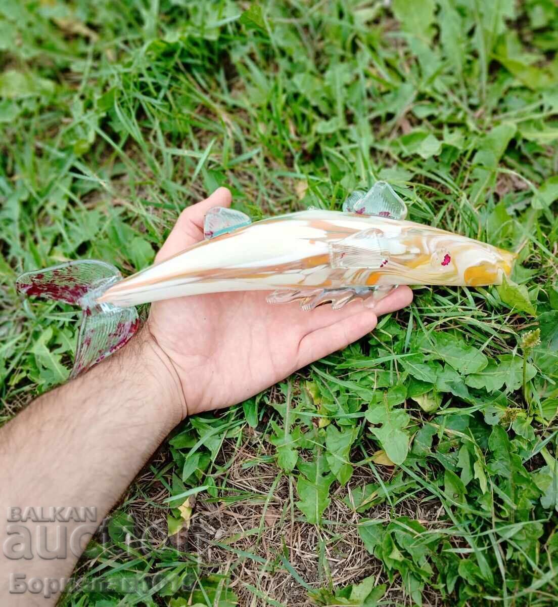 GLASS FISH with price 20.00 BGN | € 10.23 GLASS FISH with price 20.00 BGN | € 10.23