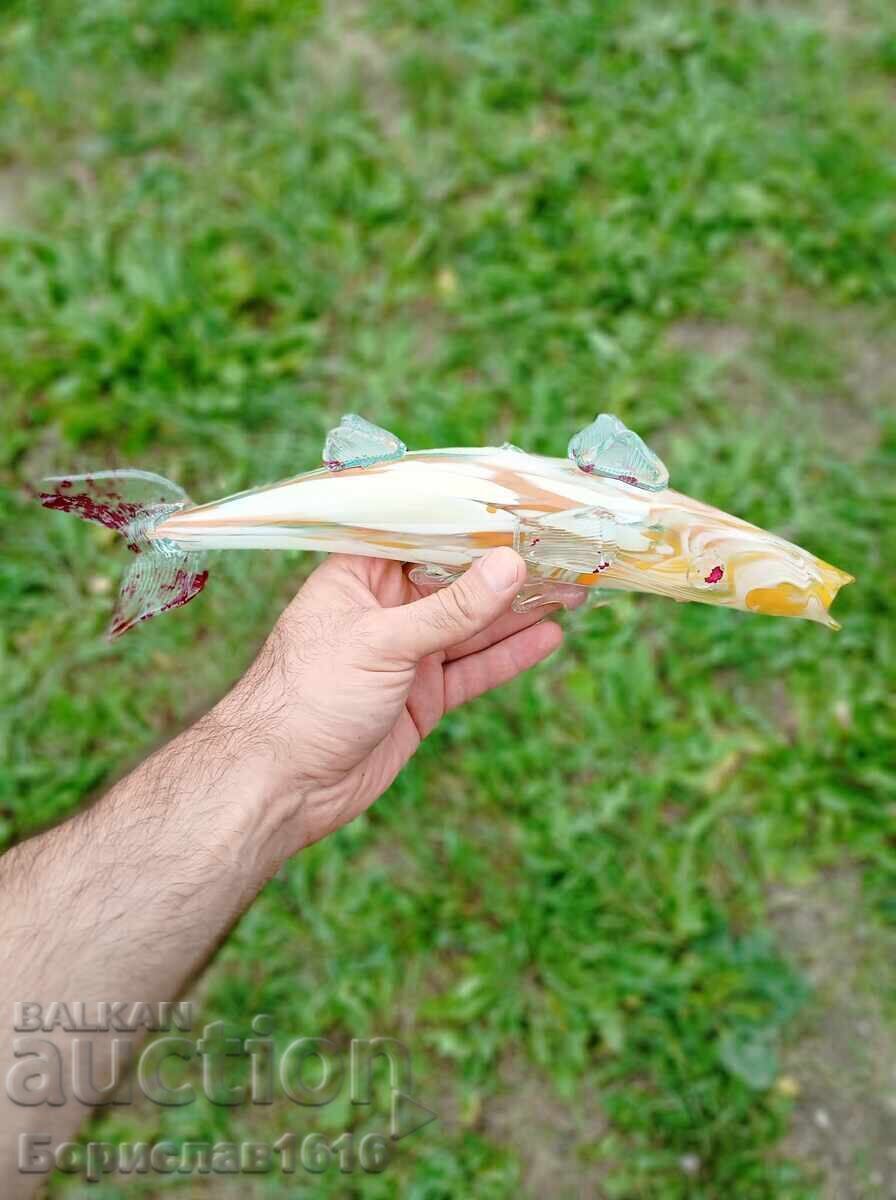 Delivery of GLASS FISH Delivery of GLASS FISH