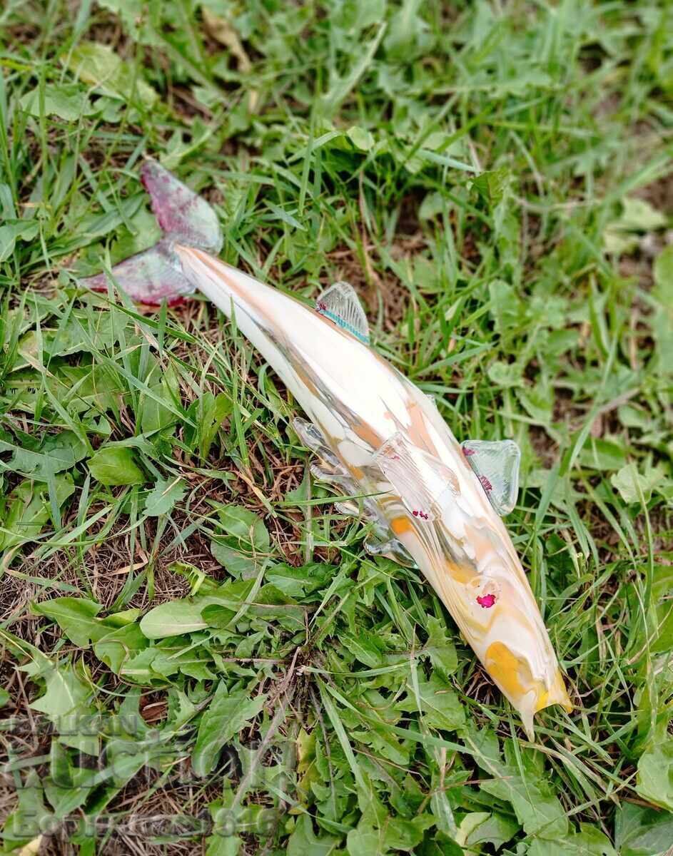 GLASS FISH - 5 GLASS FISH - 5