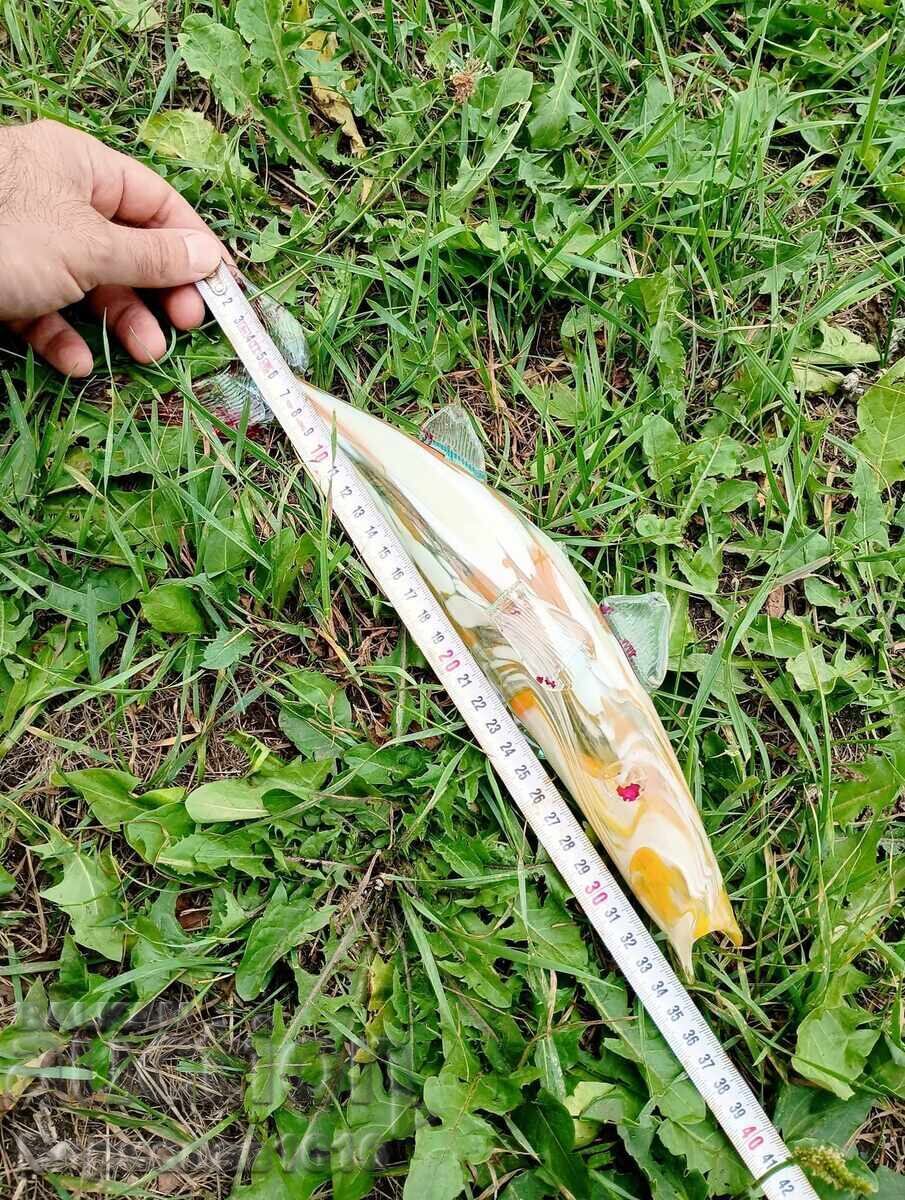 GLASS FISH - 6 GLASS FISH - 6