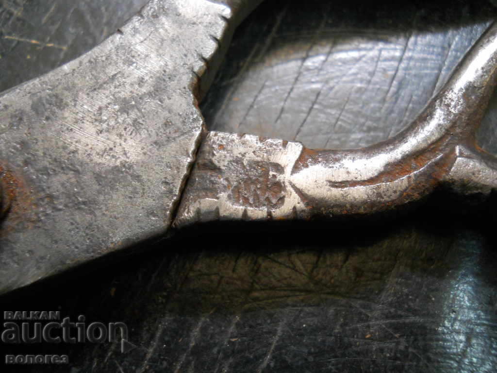 Livrarea Foarfece mare forjată pentru abaji cu marcaje Livrarea Foarfece mare forjată pentru abaji cu marcaje