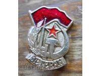 Σήμα "Βετεράνος του Μεγάλου Πατριωτικού Πολέμου"