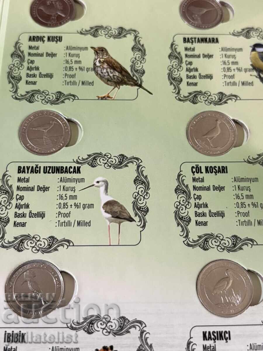 Turcia 2020 - Set complet de 12 monede a câte 1 kuruş - Păsări - 6