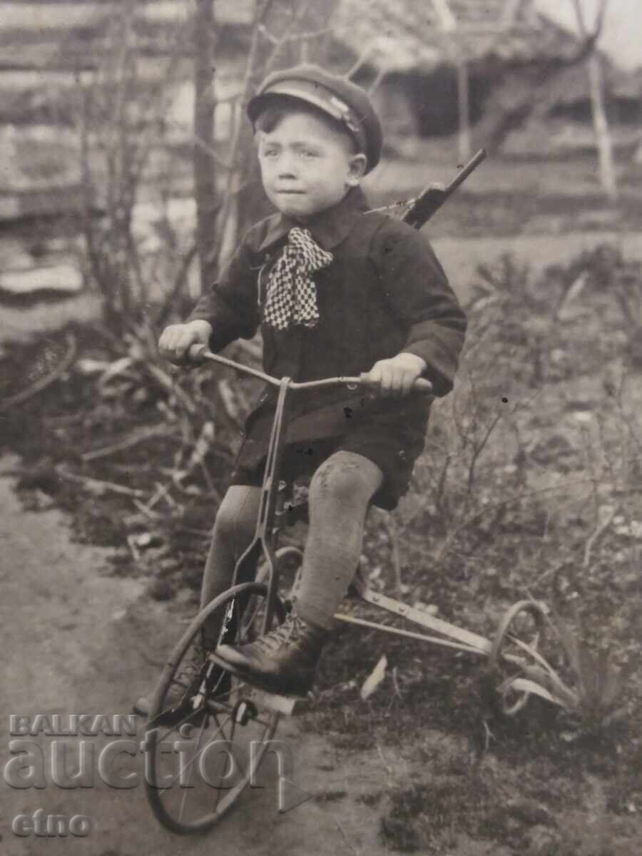 FOTOGRAFIE REGALĂ-JUCĂRIE, ROATĂ FOTOGRAFIE REGALĂ-JUCĂRIE, ROATĂ