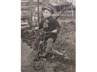 FOTOGRAFIE REGALĂ-JUCĂRIE, ROATĂ