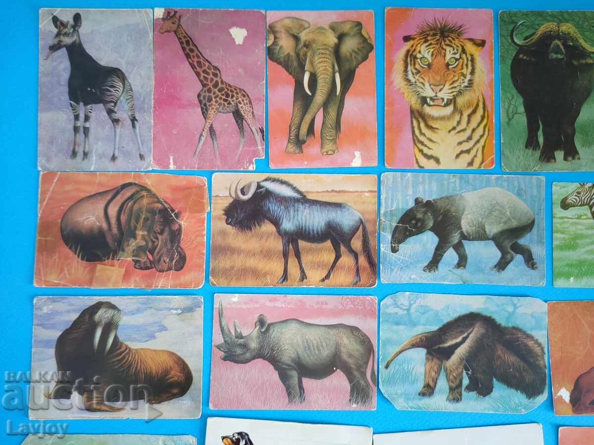 Колекция ретро календари 26 бр.животни и птици с цена 30.00 лв. | € 15.34 Колекция ретро календари 26 бр.животни и птици с цена 30.00 лв. | € 15.34