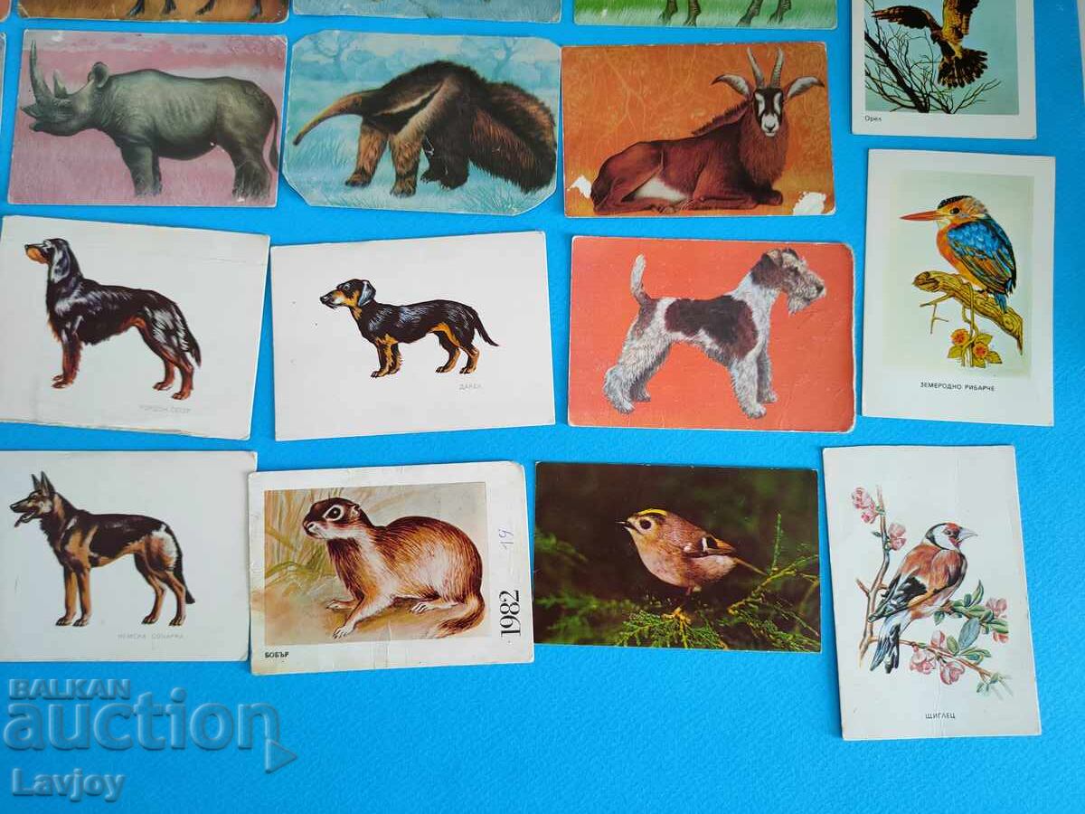 Доставка на Колекция ретро календари 26 бр.животни и птици Доставка на Колекция ретро календари 26 бр.животни и птици