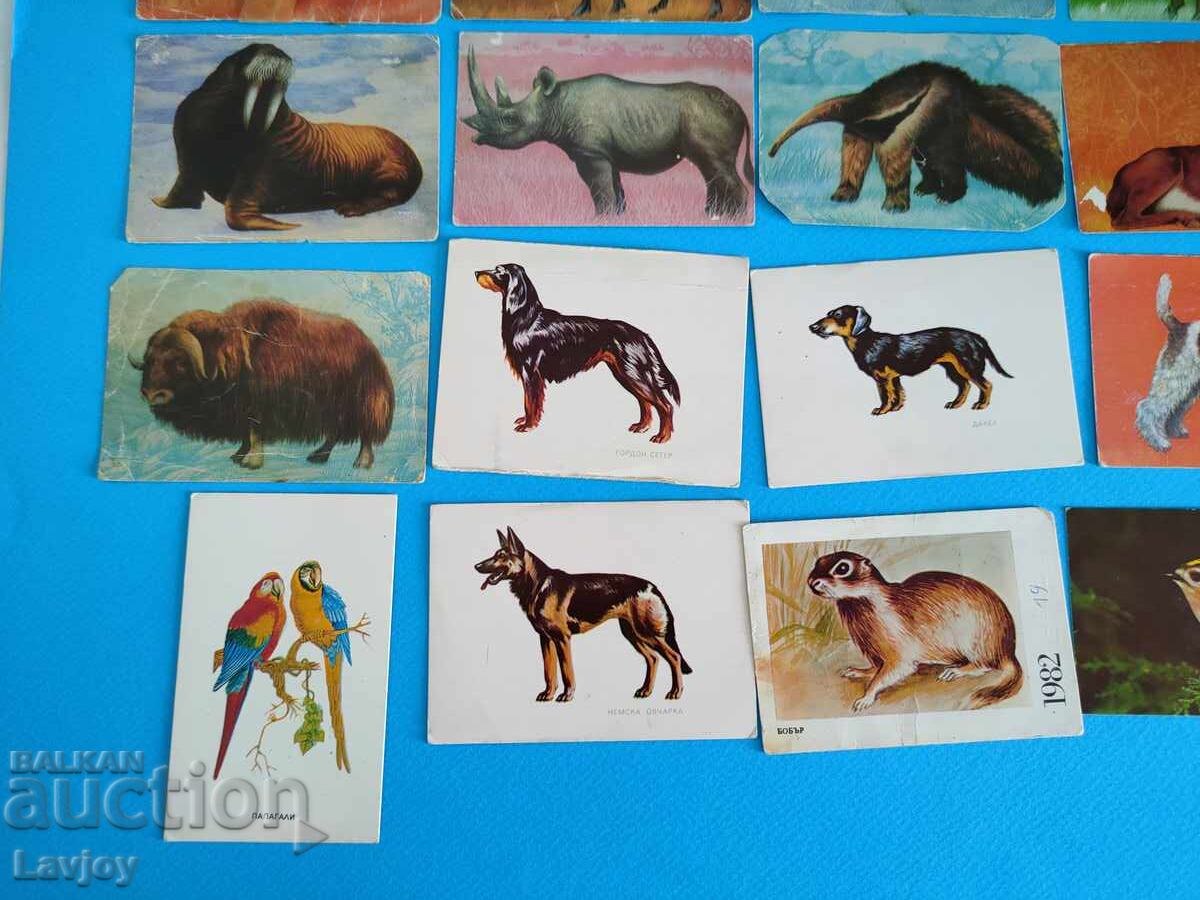 Колекция ретро календари 26 бр.животни и птици - 5 Колекция ретро календари 26 бр.животни и птици - 5