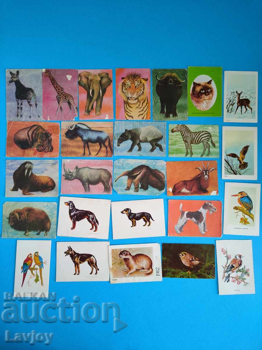 Колекция ретро календари 26 бр.животни и птици Колекция ретро календари 26 бр.животни и птици