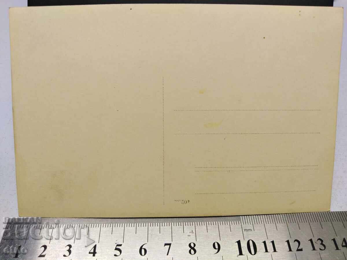 FOTOGRAFIE REGALĂ - PICNIC - 5 FOTOGRAFIE REGALĂ - PICNIC - 5