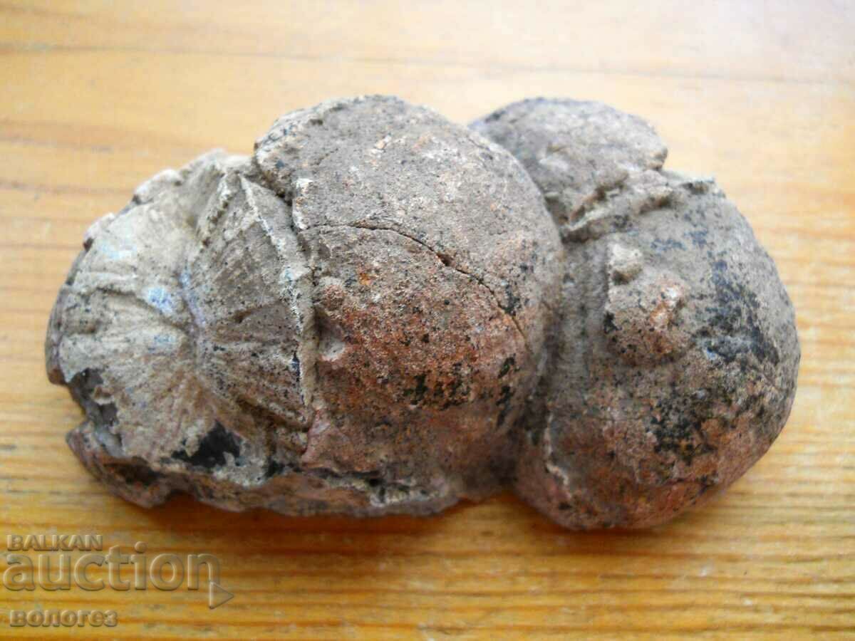 Delivery of Agate lithophysis (perfect polish)