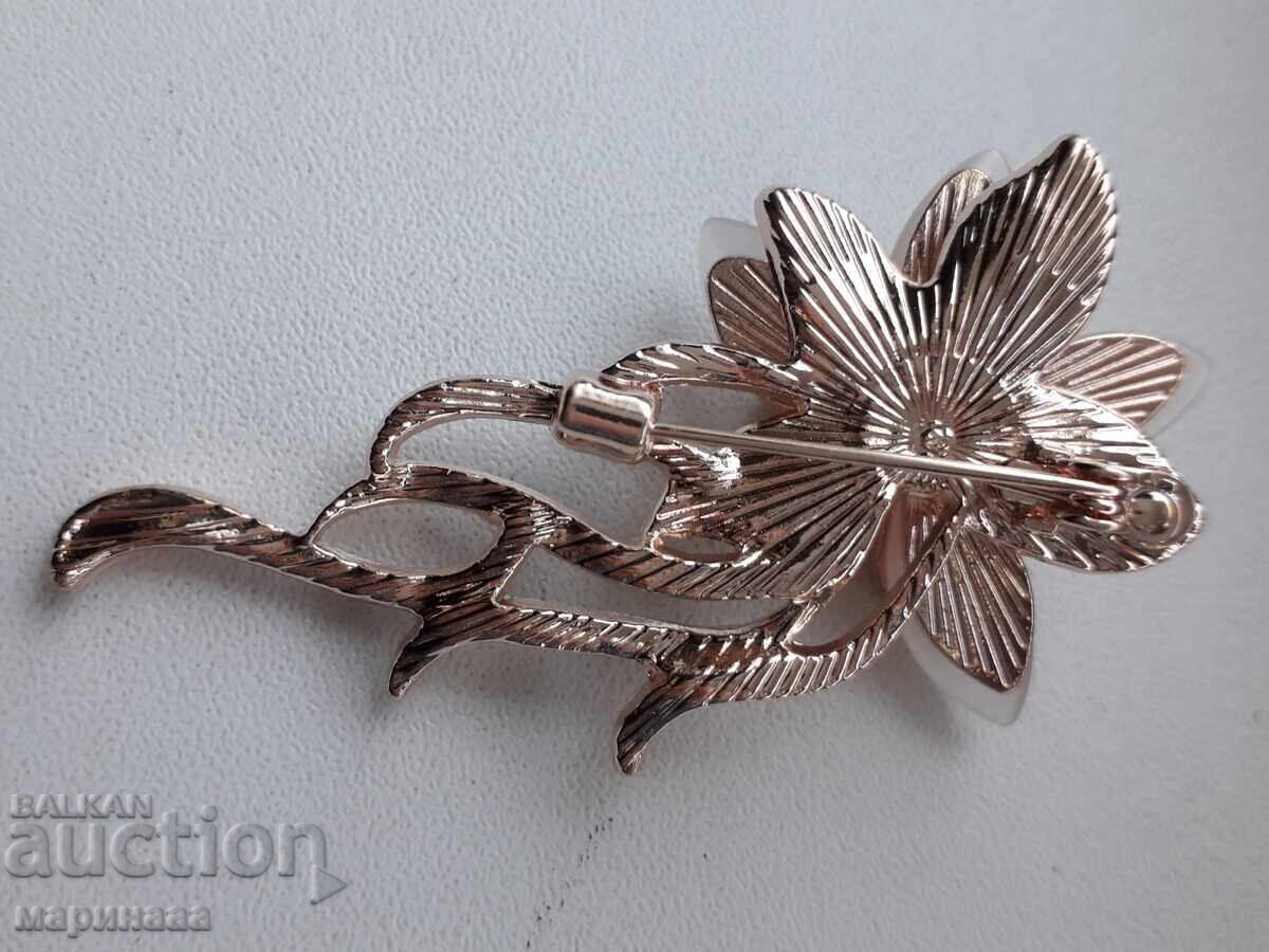 ΚΑΡΦΙΤΣΑ με τιμή 4.00 BGN | € 2.05