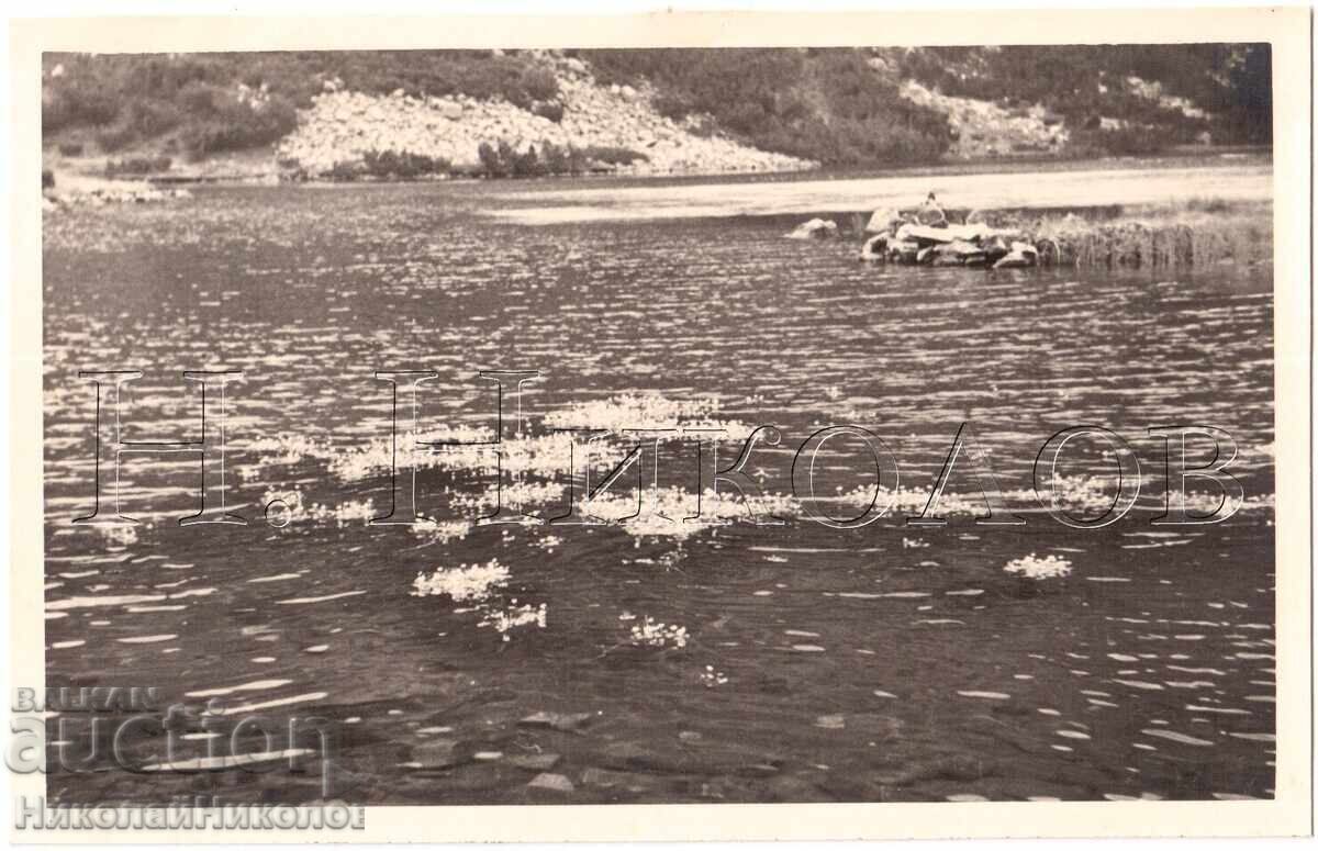 1939 FOTOGRAFIE VECHE PIRIN FOTOREPORTAJ COLECȚIE PRIVATĂ E274