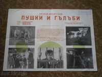 Afiș de film, afiș de film, cinema, afiș, film.....