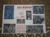 Afiș de film, afiș de film, cinema, afiș, film.....