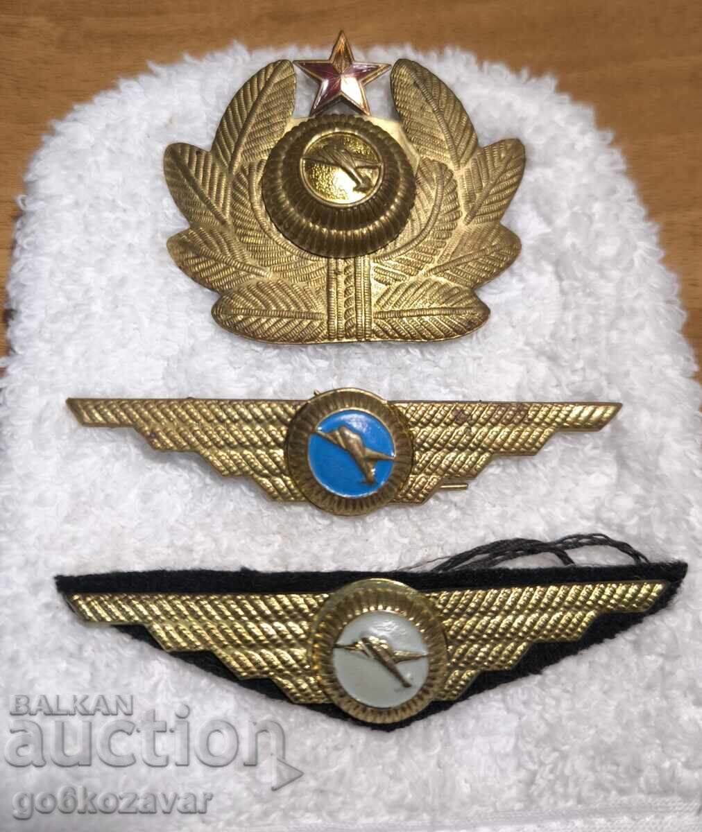 Аукцион Лот Пилотски знаци кокарда Соц !