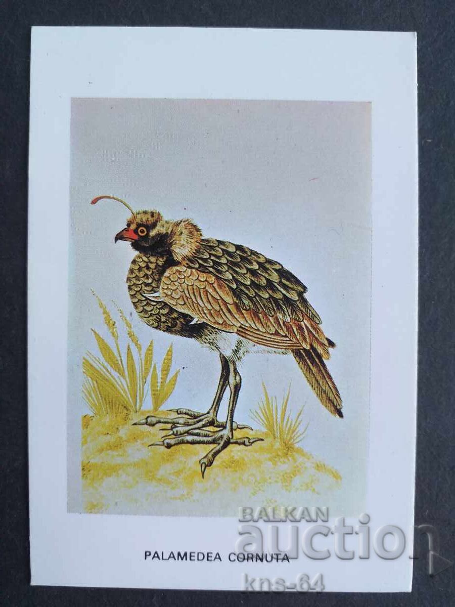 Κοινωνικό Ημερολόγιο Κοινωνικό Ημερολόγιο